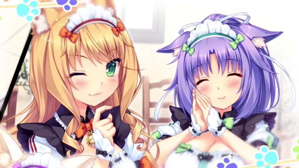 Why is Nekopara Popular